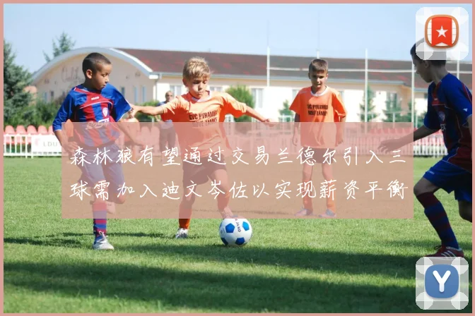 森林狼有望通过交易兰德尔引入三球需加入迪文岑佐以实现薪资平衡